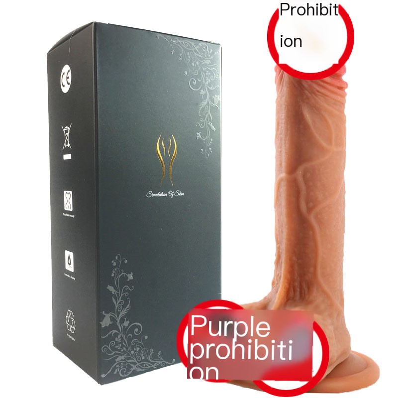 Vibrator Image 4
