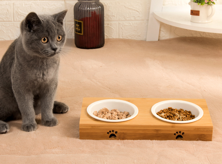 Pet Double Bowl 3