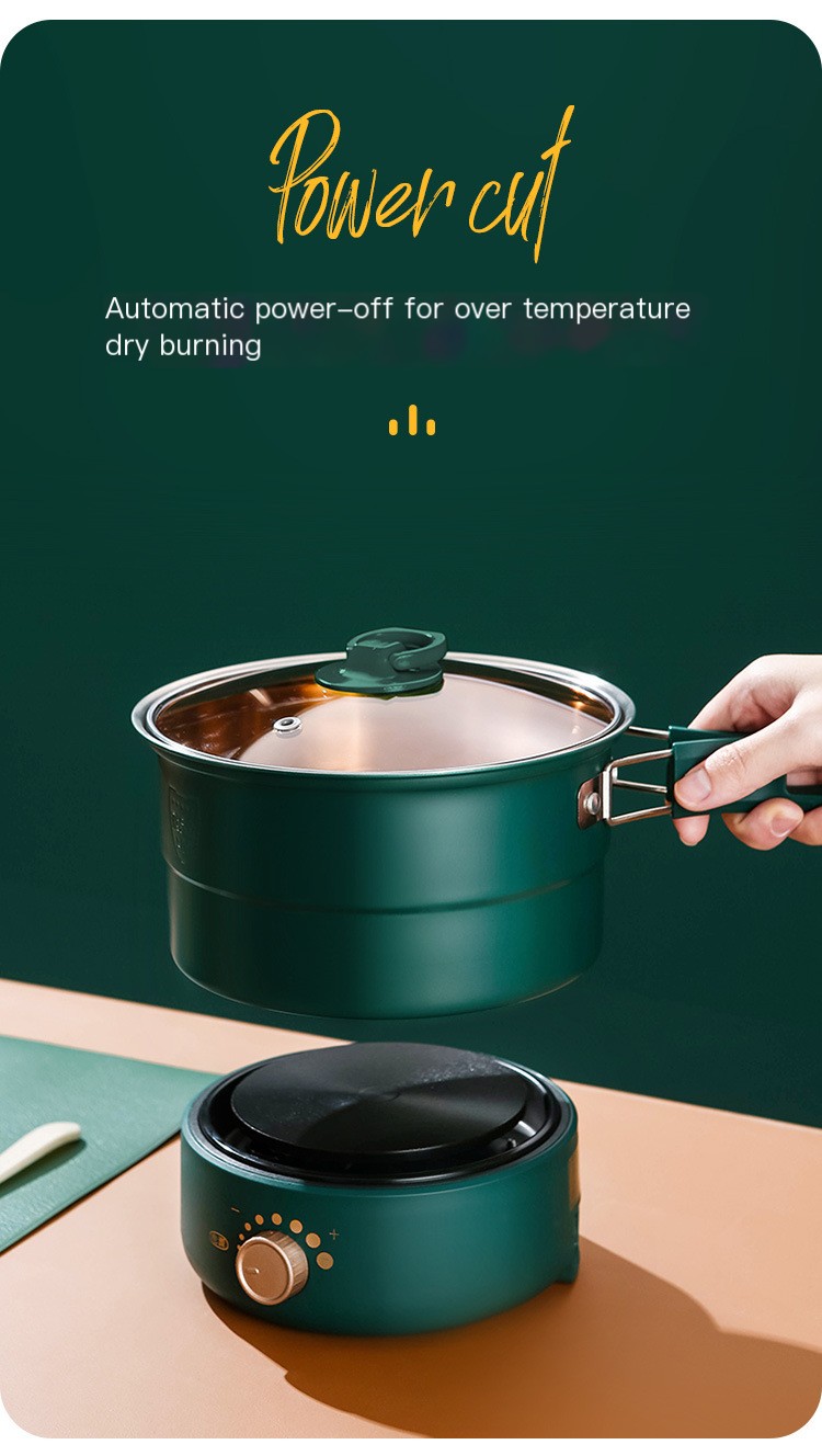 Portable Electric Cooking Pot 10