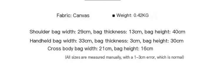 Stylish Bag Image 1