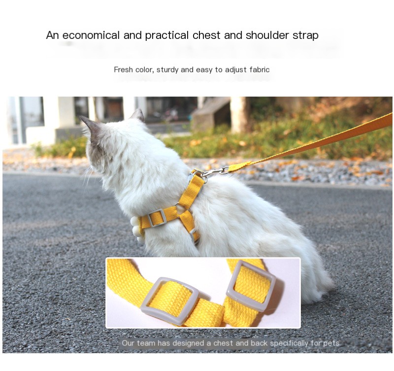 Pet Leash Sky Blue