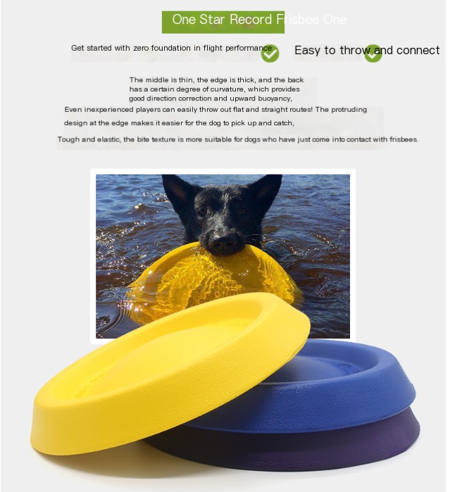 Pet Frisbee