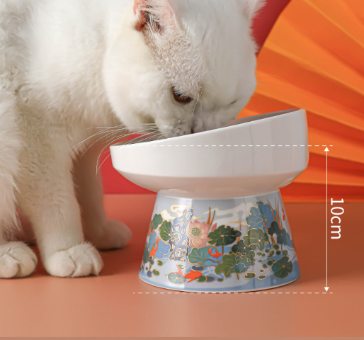 Elegant design of the Cat Bowl
