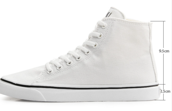 Canvas Shoe 6