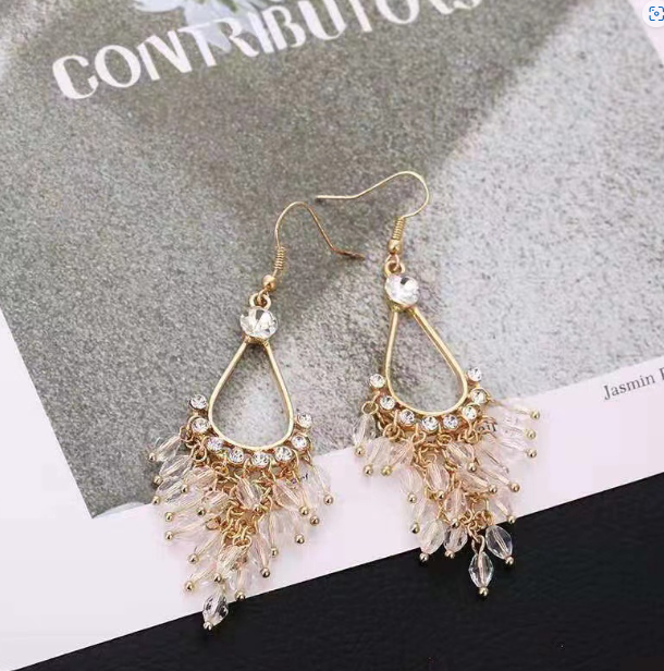 Long Water Drop Crystal Earrings