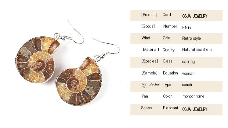 Stylish Shell Earrings