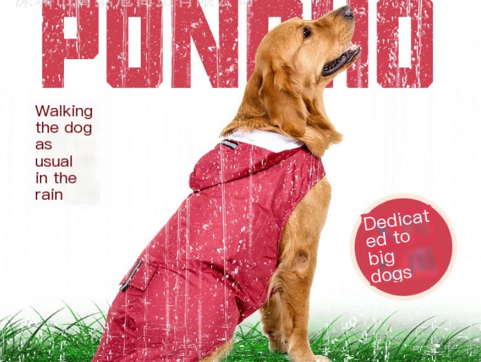 Big Dog Raincoat Navy Blue