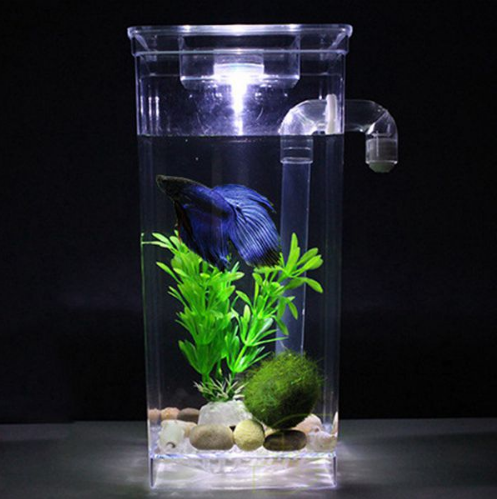 Self-Cleaning Fish Tank Image 1