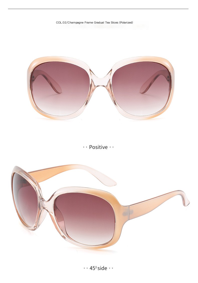 3113 Polarized Sunglasses 11