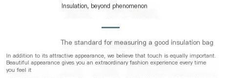 ThermoCarry Image 6