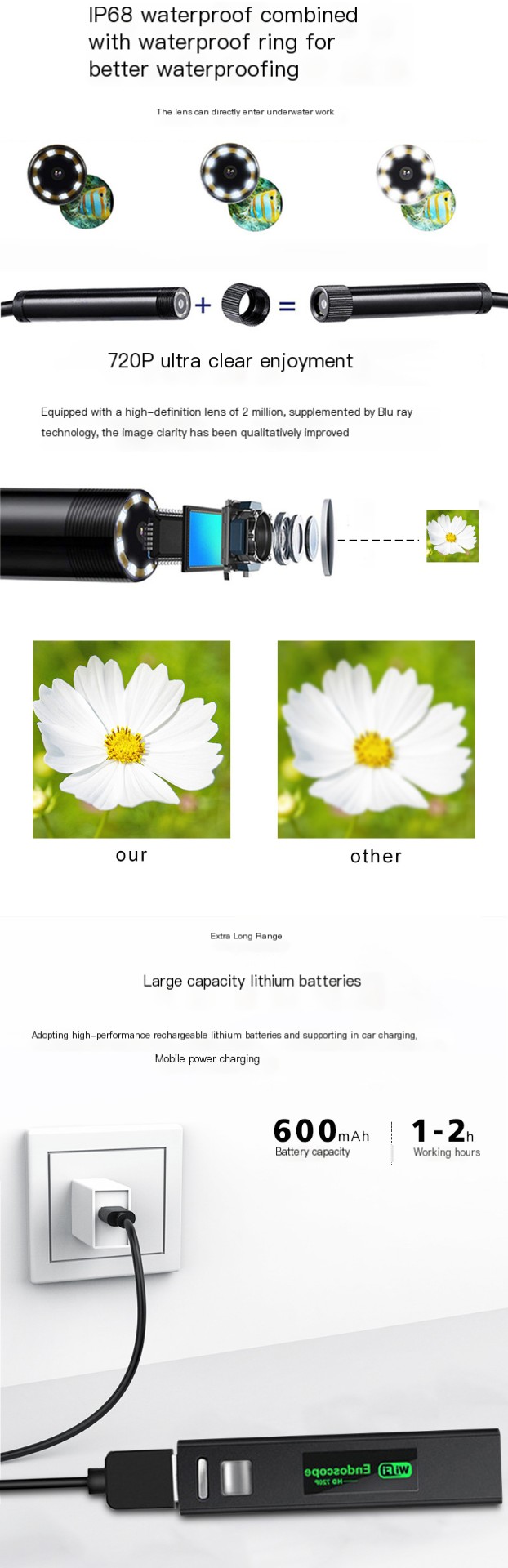 Endoscope Image 4