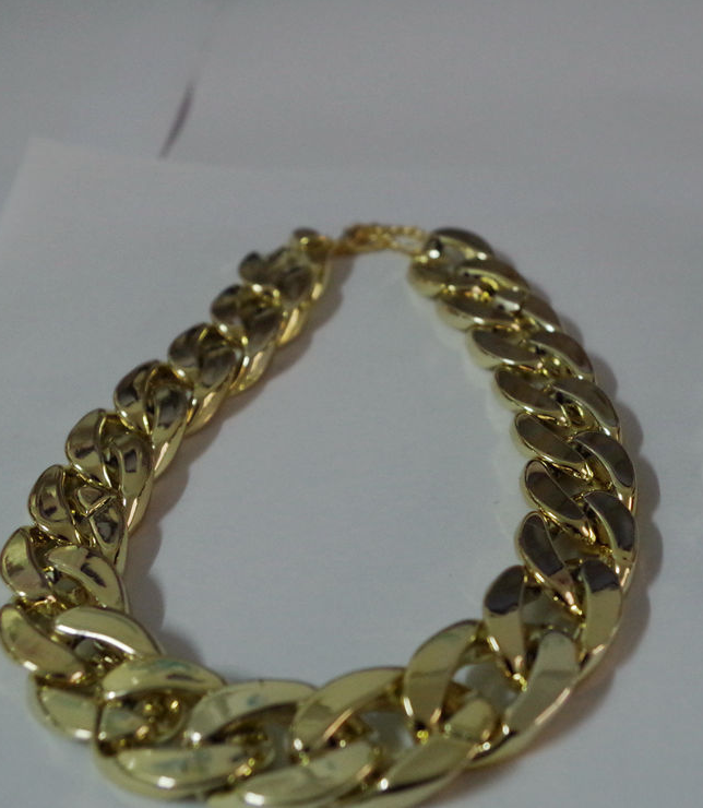 Pet Necklace Image 2