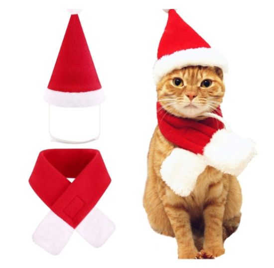 Pet in Christmas Scarf