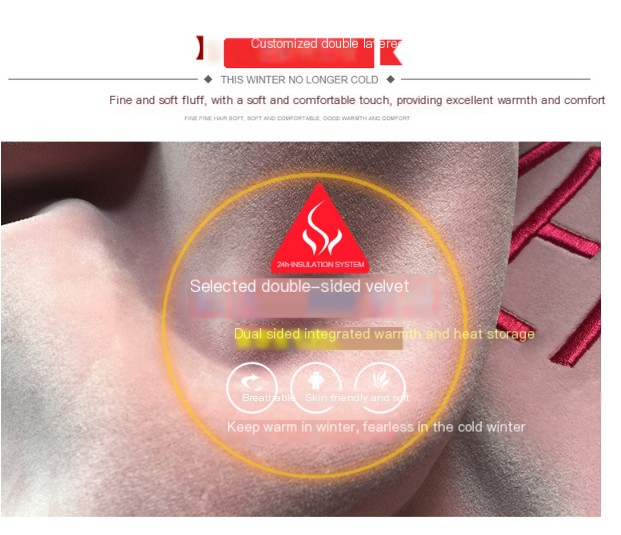 Embroidered Hoodie Image 2