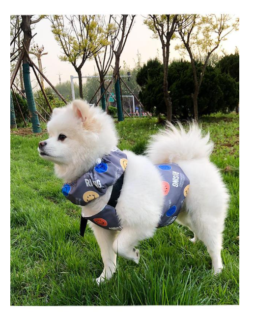 Cooling Ice Bellyband Vest 5