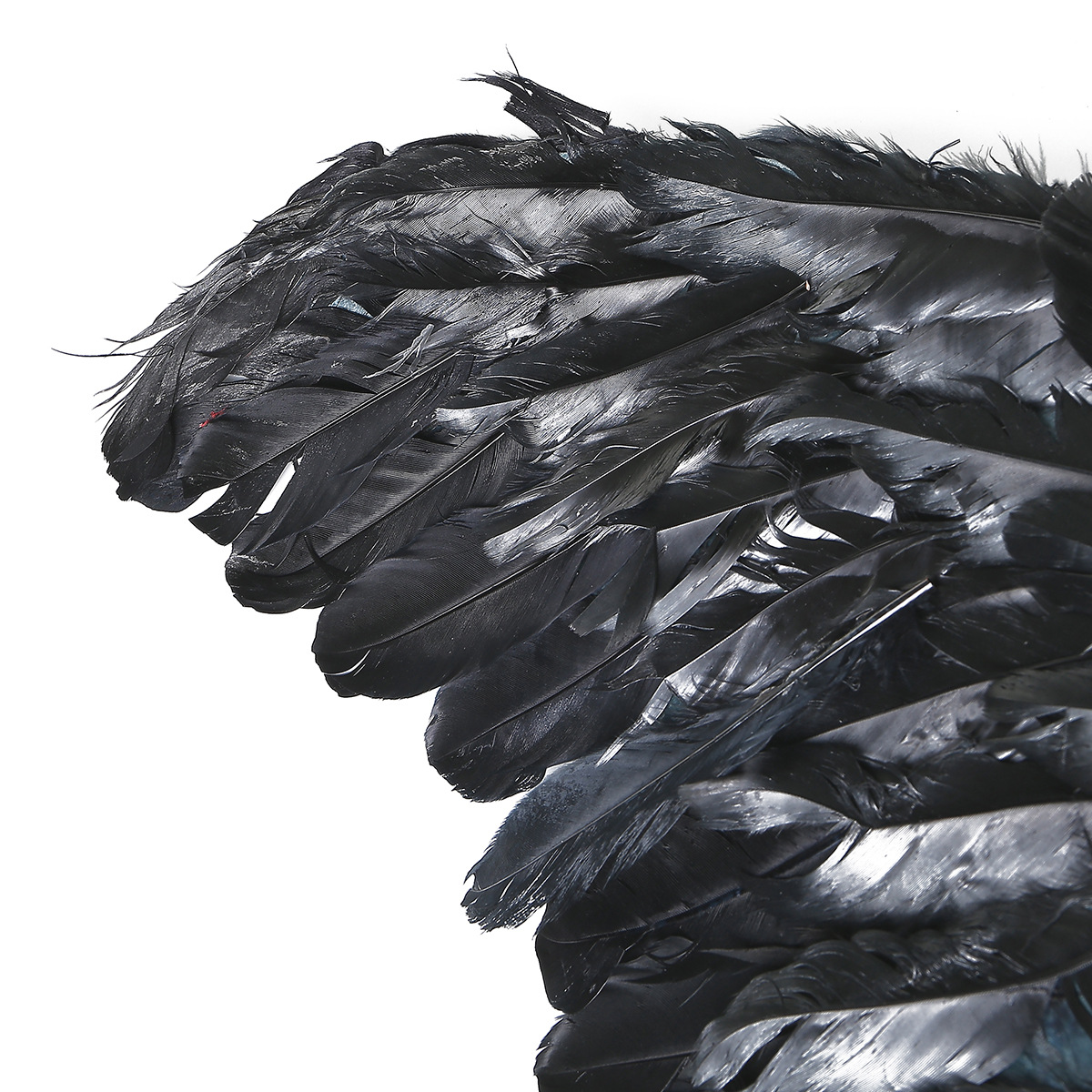 Black Feather Wings 2