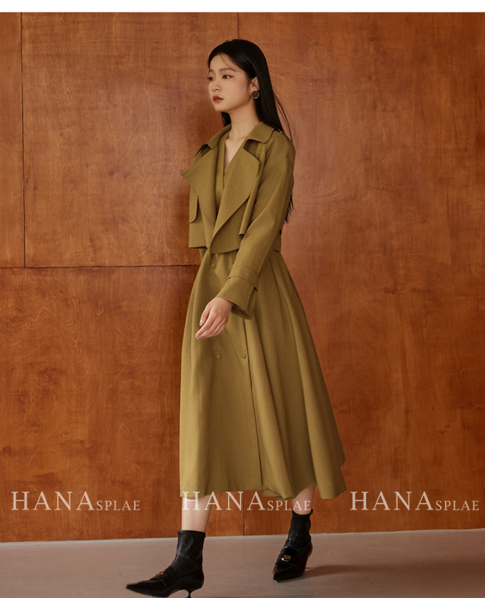 Dress Image 13