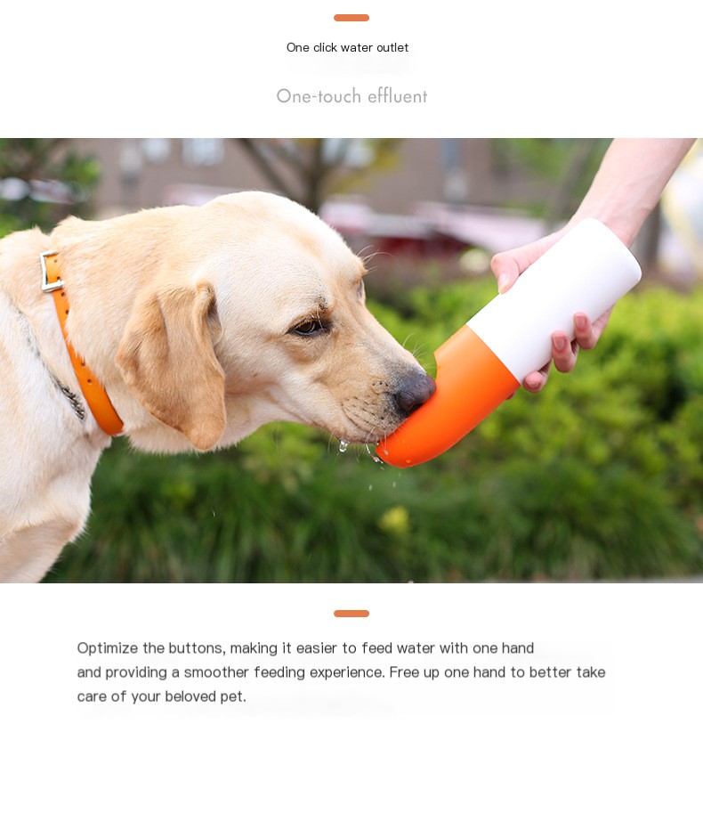 Portable Pet Travel Cup - White Orange