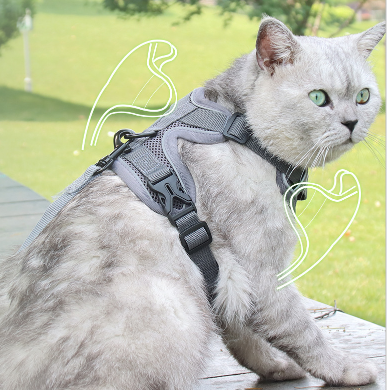 Cat Harness 9