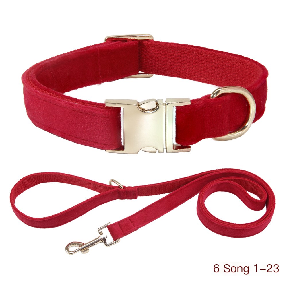Dog Leash and Collar Style 1