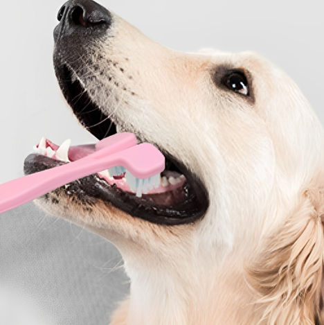 Dog Toothbrush Yellow
