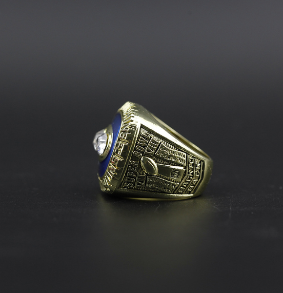 Dolphins Ring with Black Box