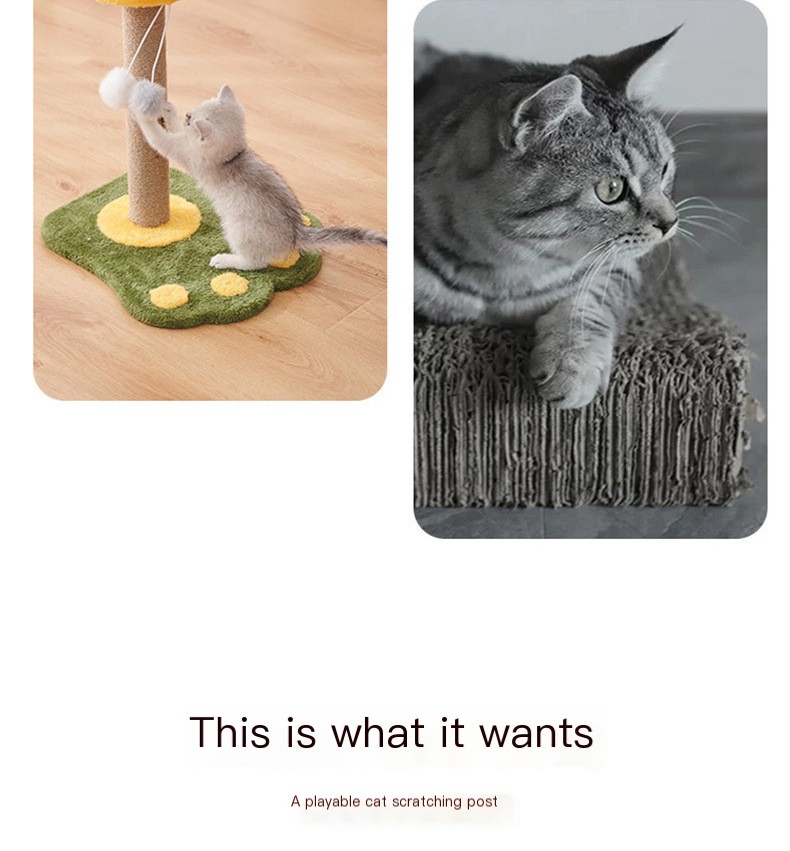 Cat Scratching Post 7