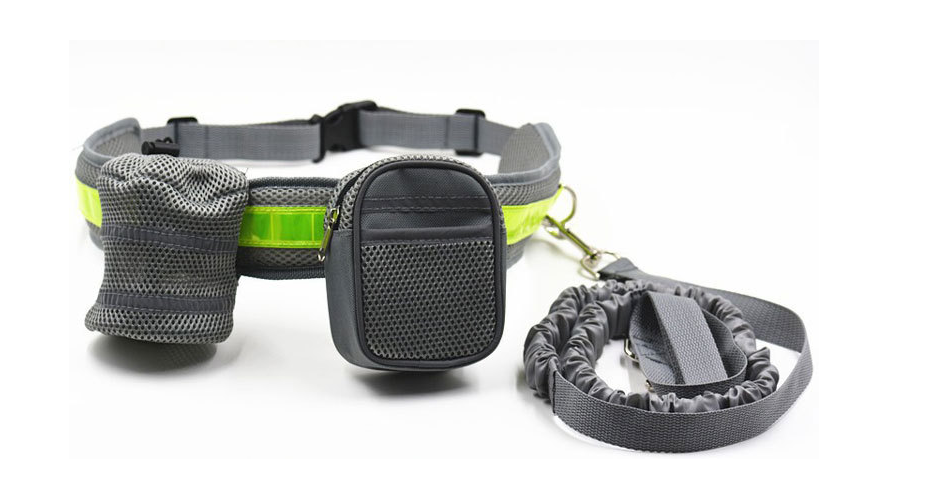 Dog Running Traction Set Image 4