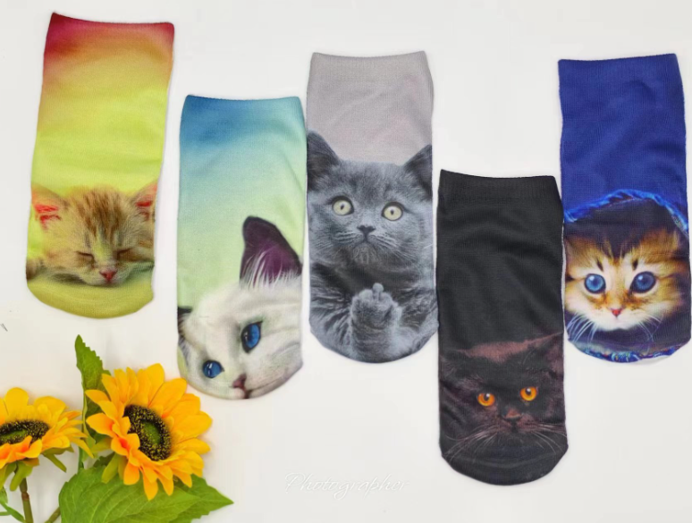 3D Cat Print Socks - Light Blue