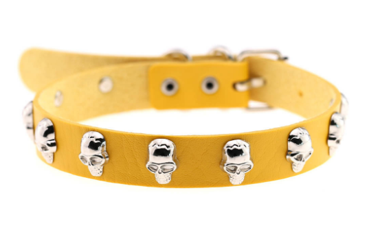 Skull Collar Image 2