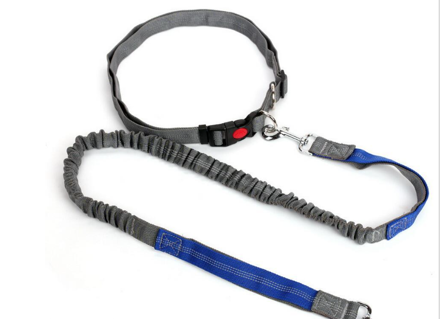 Traction Leash Image 2
