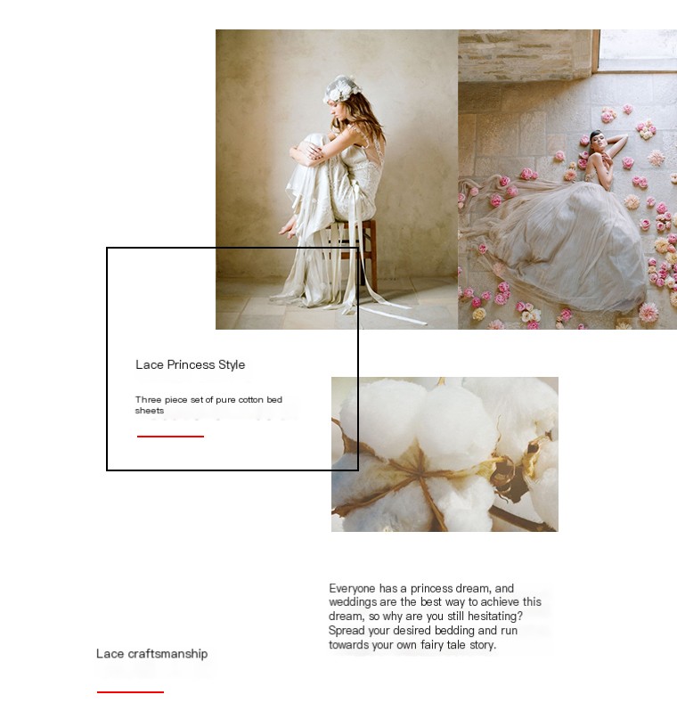 Elegant Cotton Bed Sheet 1