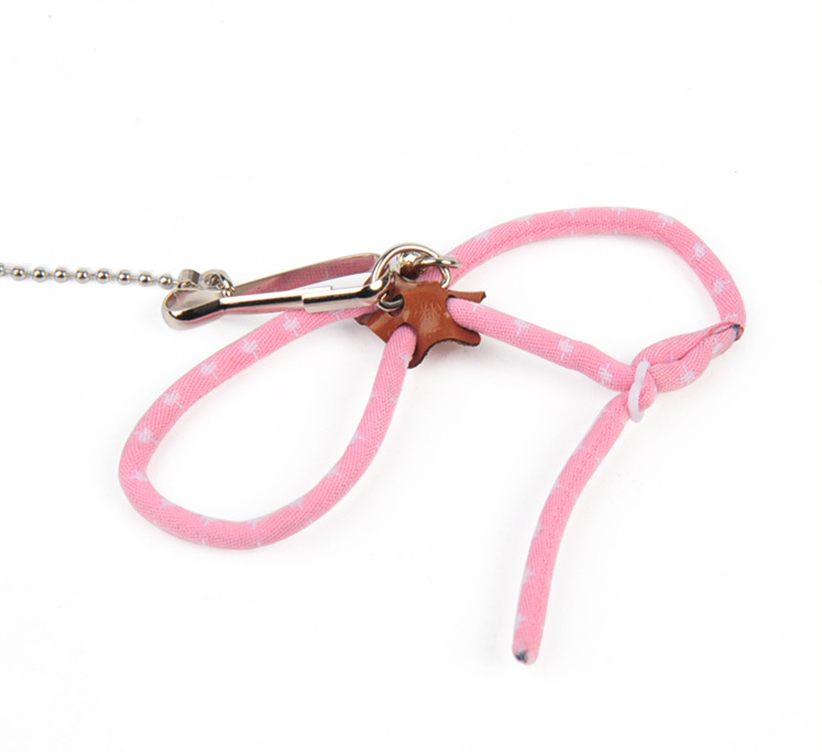 Training Leash for Hamsters - Blue