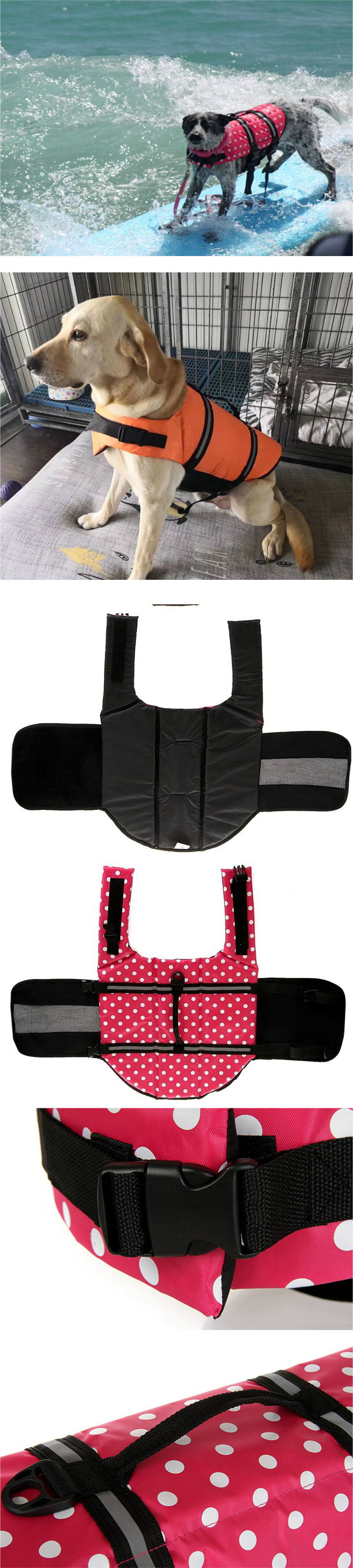 Pet Life Jacket in Use