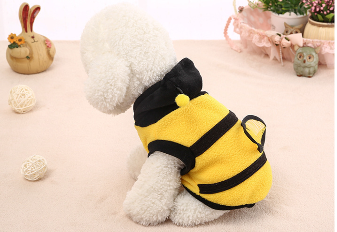 Pet Outfit Image 4