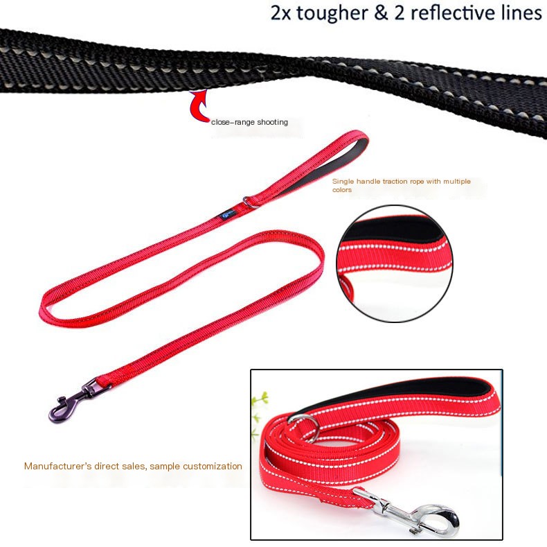 Dog Leash 5
