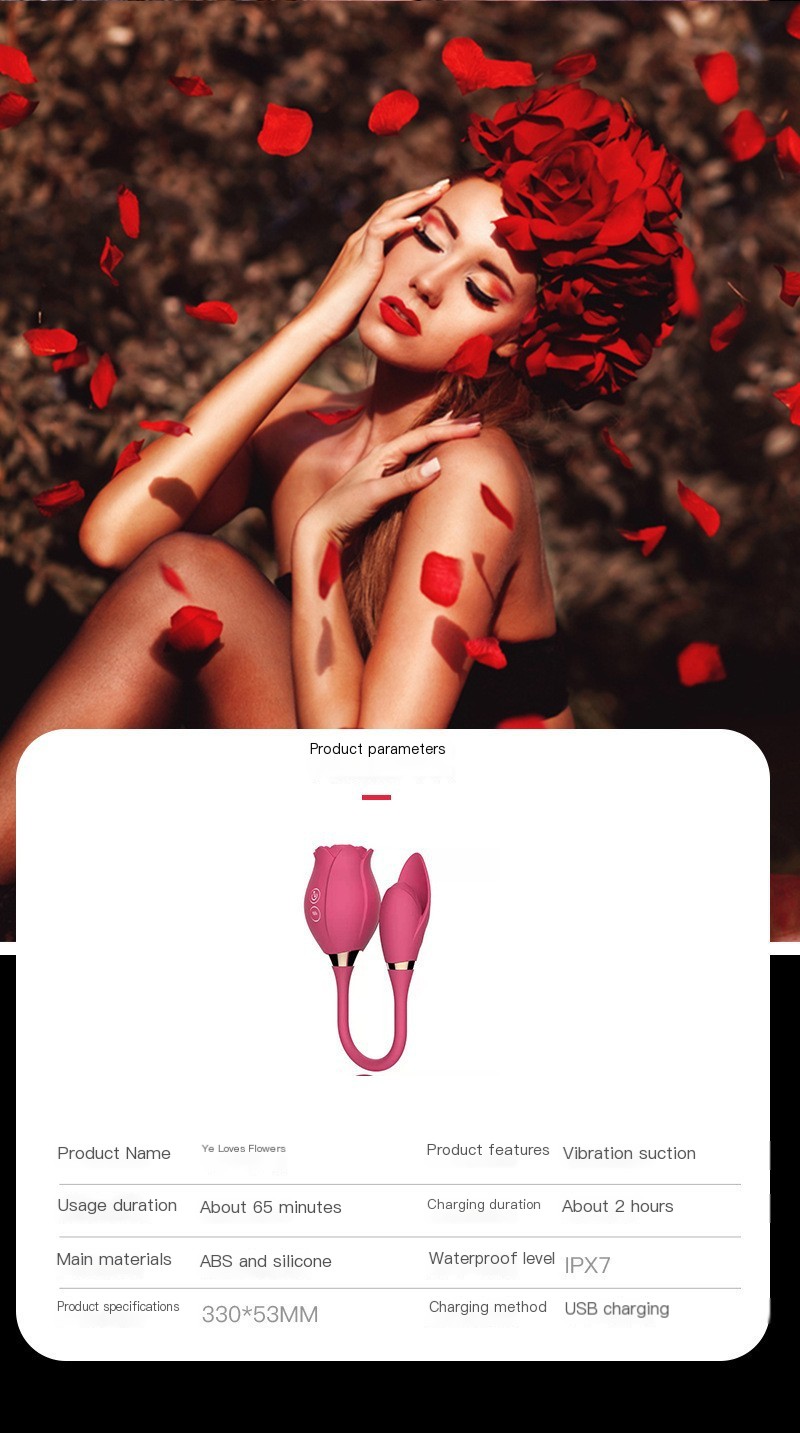 Vibrator Image 5