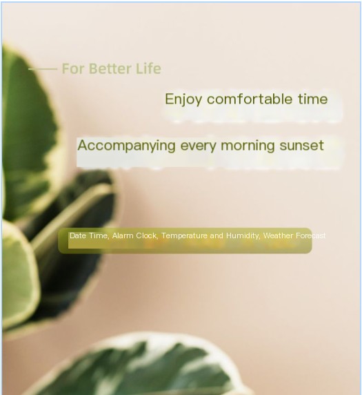 Weather Forecast Display Image 1