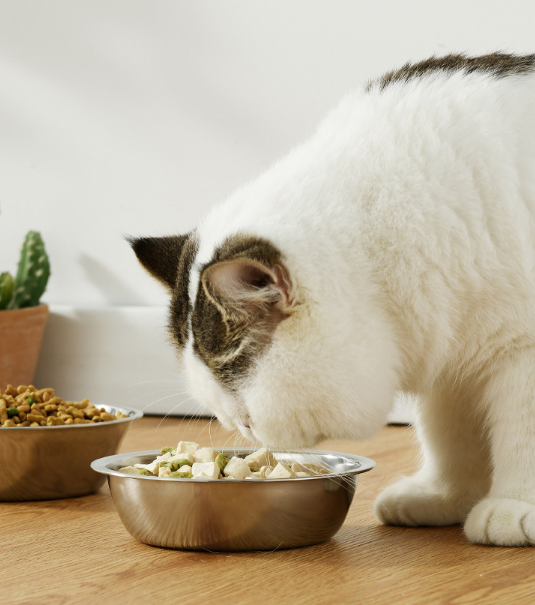 Stainless Steel Pet Bowl