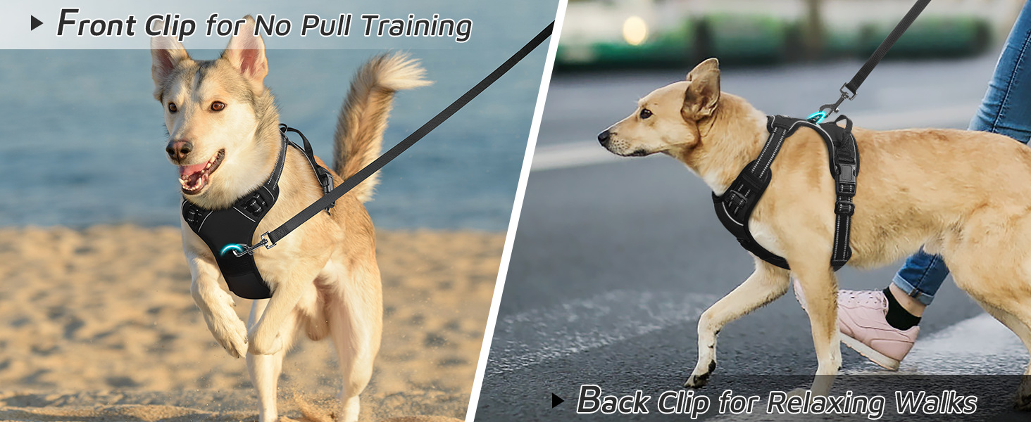 Teddy's Fund Fur Vest