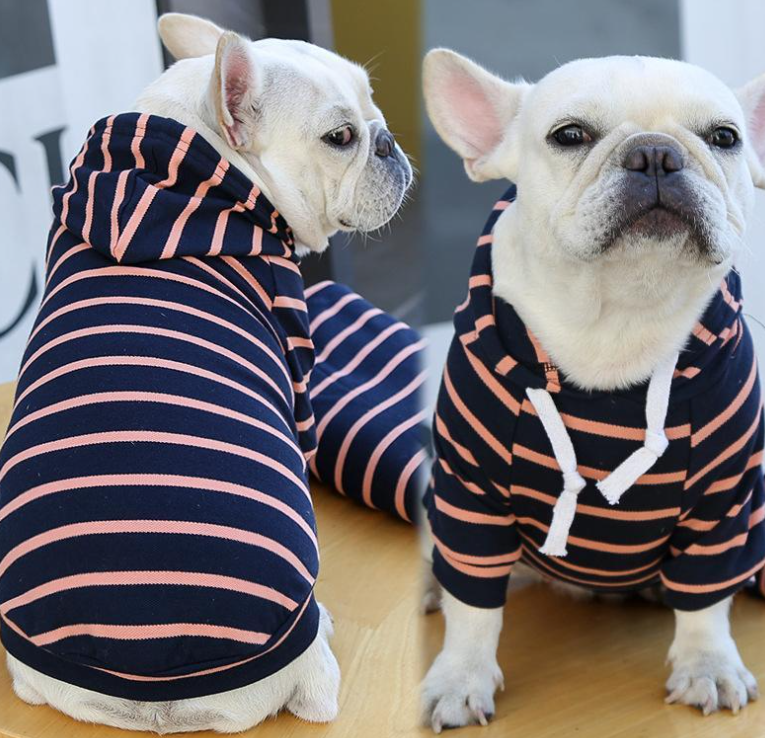 Striped Dog Hoodie — product detail 2