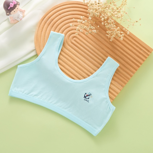 Bra Image 6