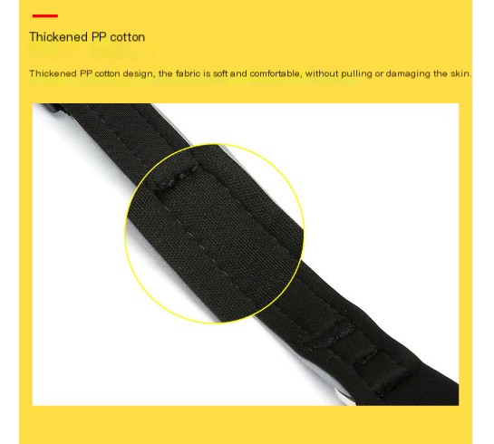 Comfortable Dog Collar in Use