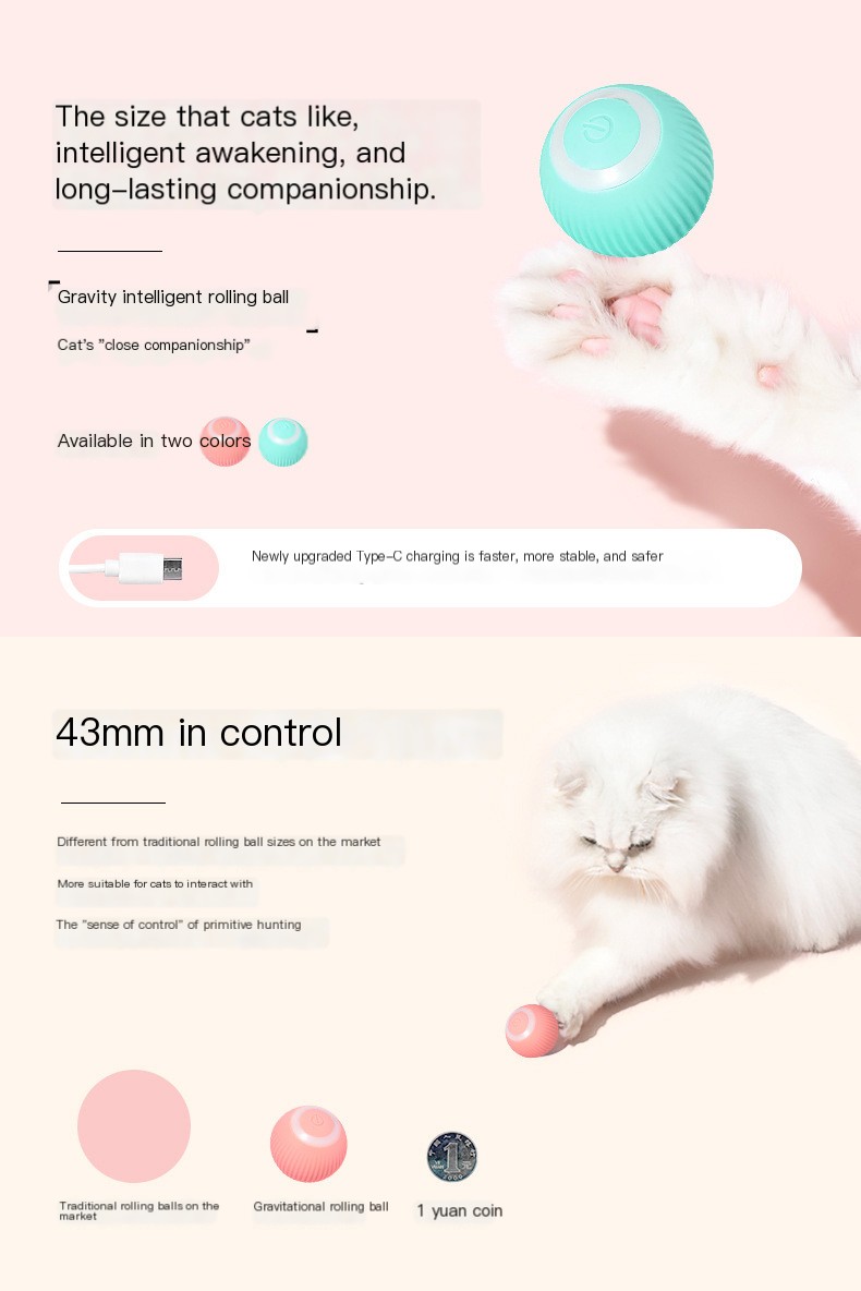 Cat with Electric Toy