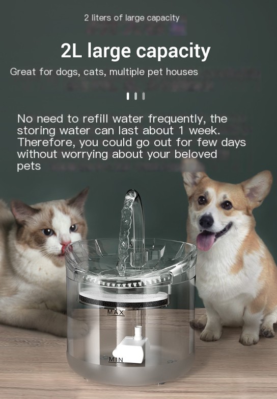 Pet Water Dispenser Image 5