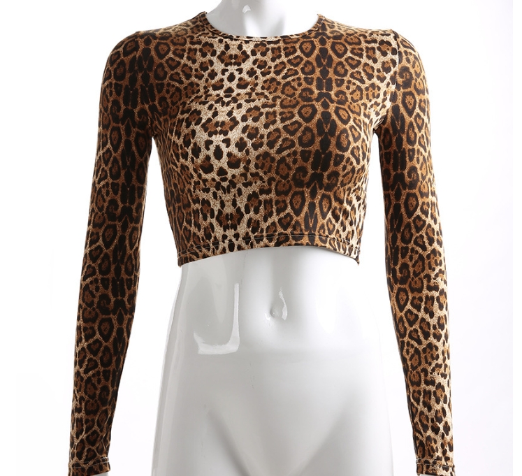 Leopard Print Long Sleeve Crop Top