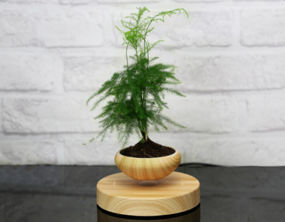 Magnetic Levitation Flower Pot Image 2