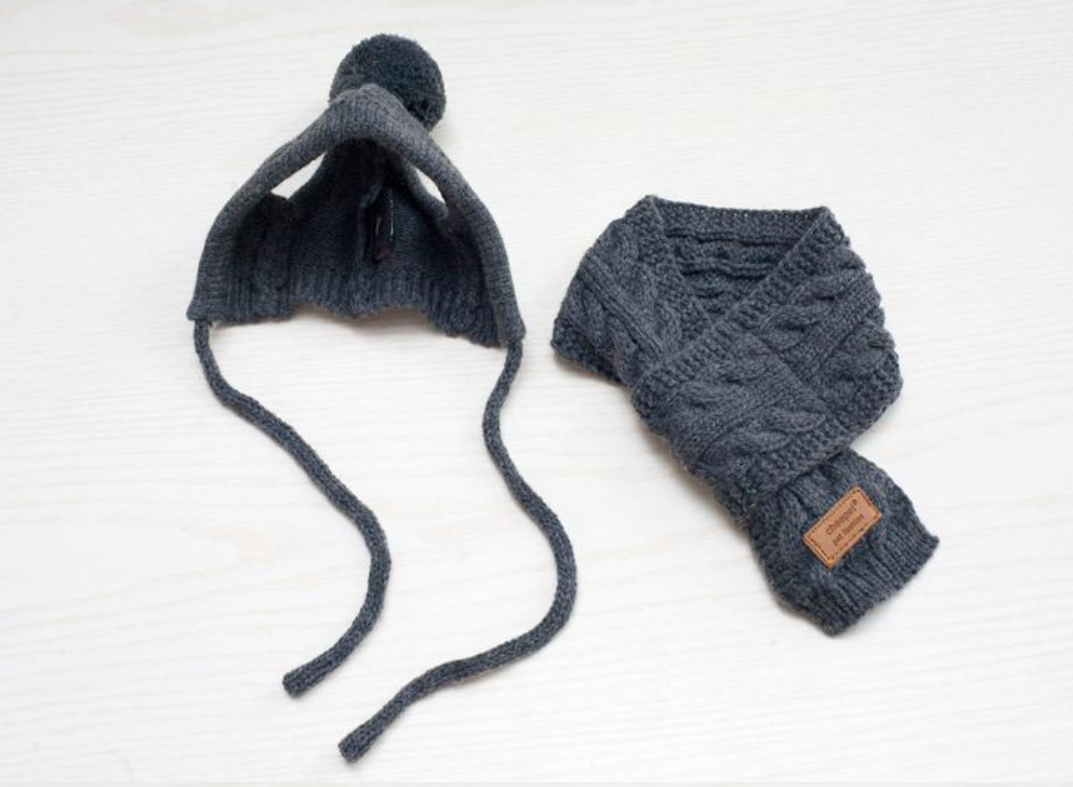 Fashionable Pet Outfit