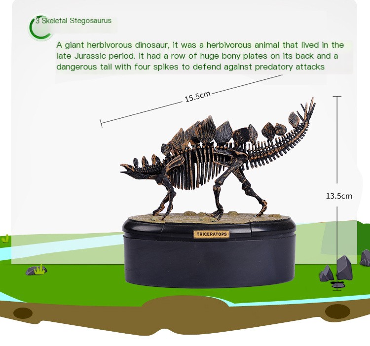 Brachiosaurus-B Skeleton
