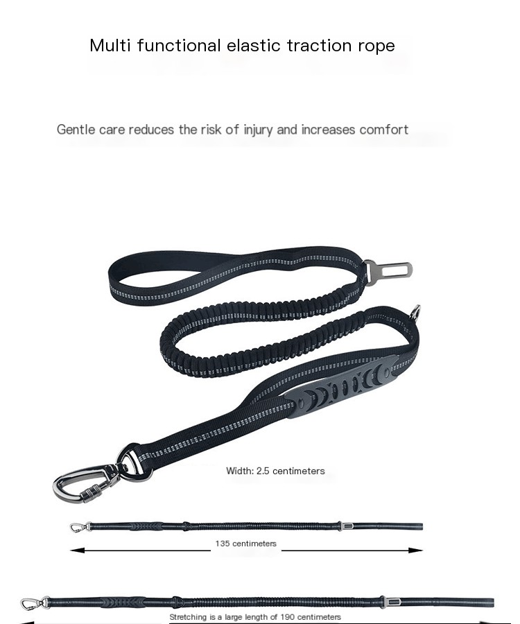Dog Leash Image 2